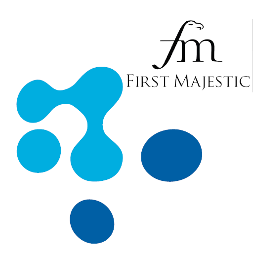 M-Risk T4 (FM) logo