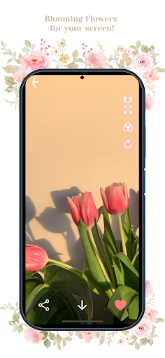 Bloom Wallpapers Screen 2