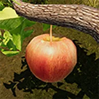 Fruitful Plucking