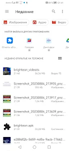Brighteon media downloader