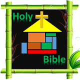 Teenager's Bible icon
