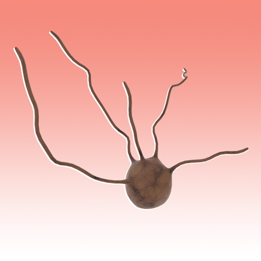 Medical Management of Melanoma logo