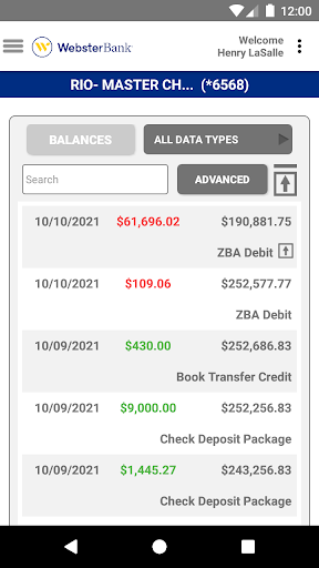 Webster SNB e-Treasury Mobile Screen 3