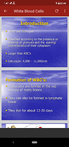 Hematology calculator