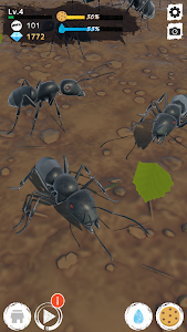 Ant Garden Unknown