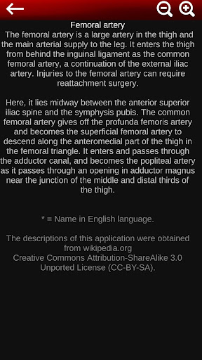Circulatory System 3D Anatomy