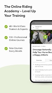 wehorse - Learn From The Best Unknown