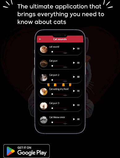 international cat day 2023 Screen 3