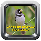 canto de pássaros do brasil icon