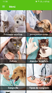 Curso de veterinaria