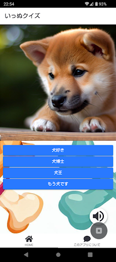 Android application いっぬクイズ screenshort