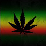 Rasta Live Wallpaper icon