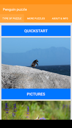 Bird Jigsaw Puzzle - Screenshot 1