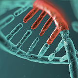 BRC Genome Engineering Symp icon