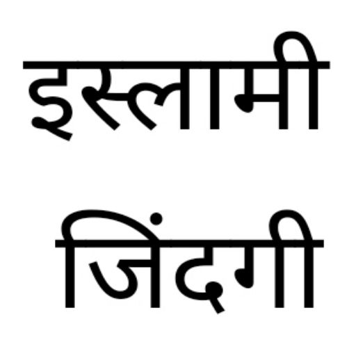 Islamic Books in Hindi logo