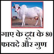 गाए के दूध के 80 फायदे और गुण 1.2 Icon