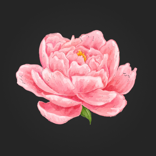 Flowers Magic | Гомель logo