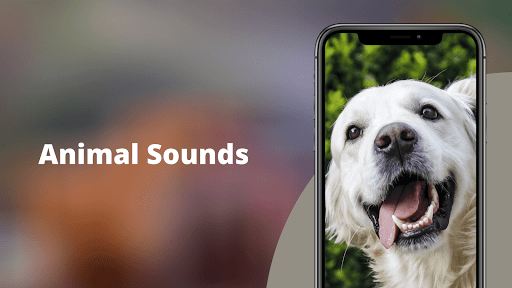 Download Animal Sounds - Real Animal Sounds Ringtones Free for Android -  Animal Sounds - Real Animal Sounds Ringtones APK Download 
