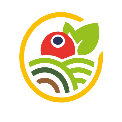 Dituto logo