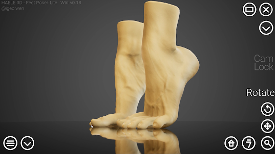 HAELE 3D Feet Poser Lite Demo