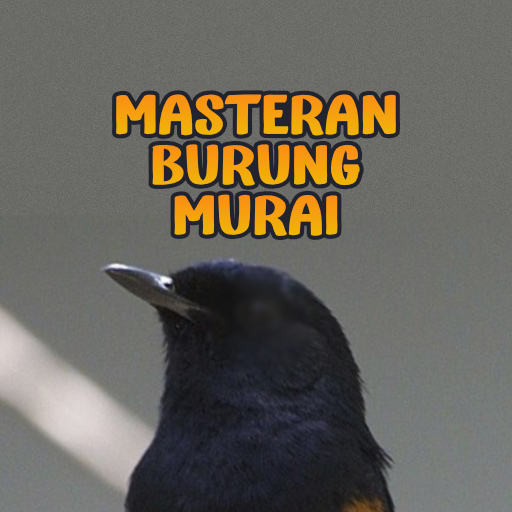 Masteran Burung Murai Mp3 Download on Windows