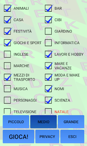 Puzzle parole intrecciate Screen 3