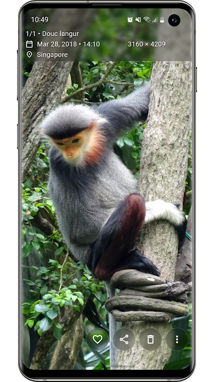 Aves Gallery Screen 2