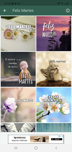 MARTES ESPLÉNDIDO Screen 2