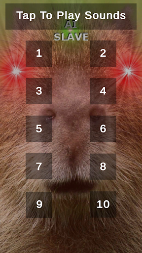 Android application Capybara Sounds screenshort