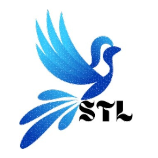 Sky Net Technology Learning logo
