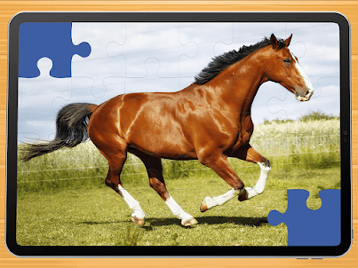 Horse puzzle game PRO