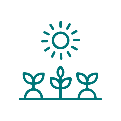 mycoop online logo