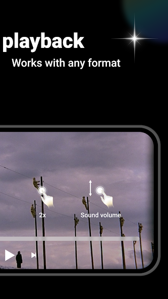 Video Fiesta Screenshot 2