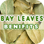 Cover Image of Download Bay Leaves Benefits  APK