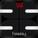 Hesley 1.0.3 下载程序
