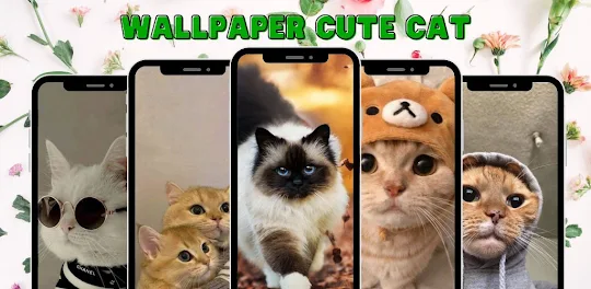 Wallpaper Cat Cute HD