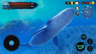The Blue Whale - Screenshot 3