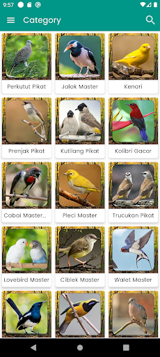 Suara Burung Walet Pikat Screen 3