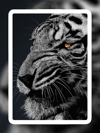 Screenshot of Lion Wallpapers HD - EpicWalls