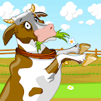 Walking Cow