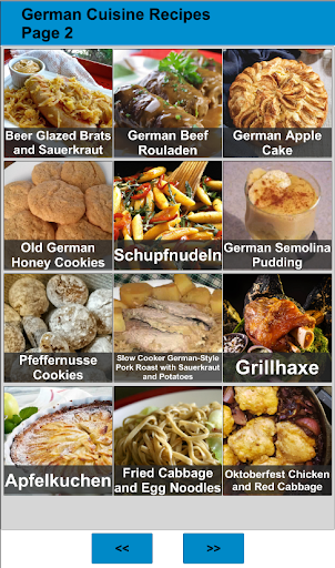 100 German Food Recipes Screen 2