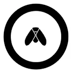 Fly Circle