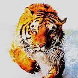 3D tiger 5 icon