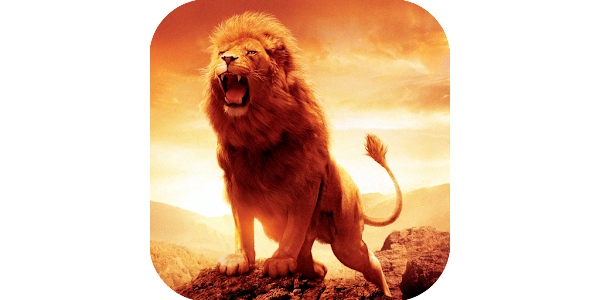Lion HD Wallpapers - Apps on Google Play