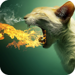 Cover Image of Télécharger Abstract Fire Wallpaper 1.04 APK