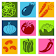 BioCrops - Fruits and Vegetables icon