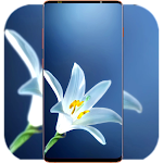 Cover Image of Download White Flower Wallpaper  APK
