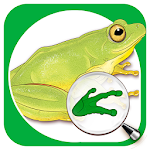 Cover Image of Télécharger Sasol Young Explorer – Frogs  APK