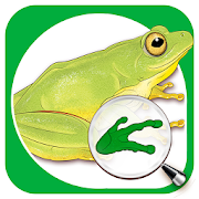 Sasol Young Explorer – Frogs