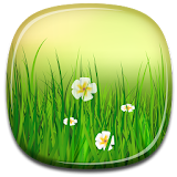 Grass Live Wallpaper icon